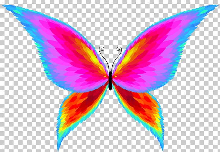 Butterflies And Moths Drawing PNG, Clipart, Animation, Art, Butterflies And Moths, Butterfly, Child Free PNG Download