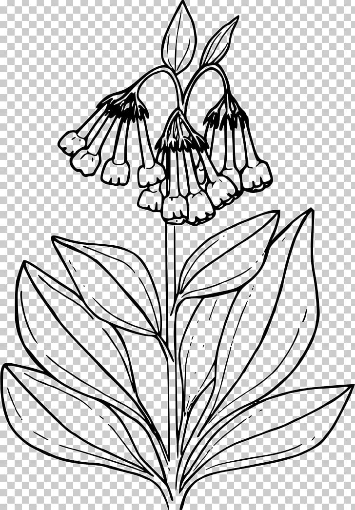 Drawing Color Common Bluebell PNG, Clipart, Artwork, Black And White, Branch, Coloring Book, Fictional Character Free PNG Download