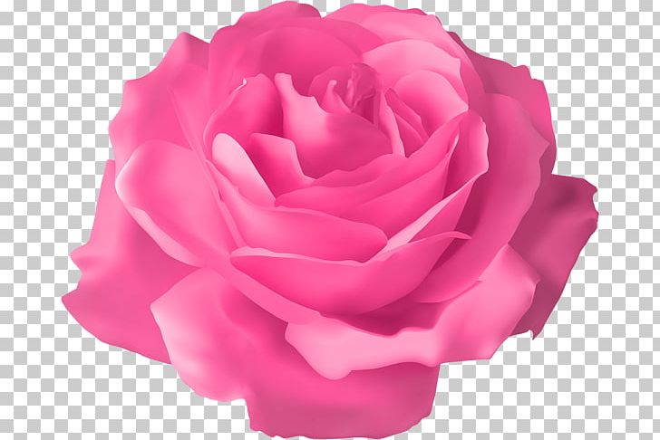 Rose Flower PNG, Clipart, Blue, Blue Rose, China Rose, Cut Flowers, Desktop Wallpaper Free PNG Download