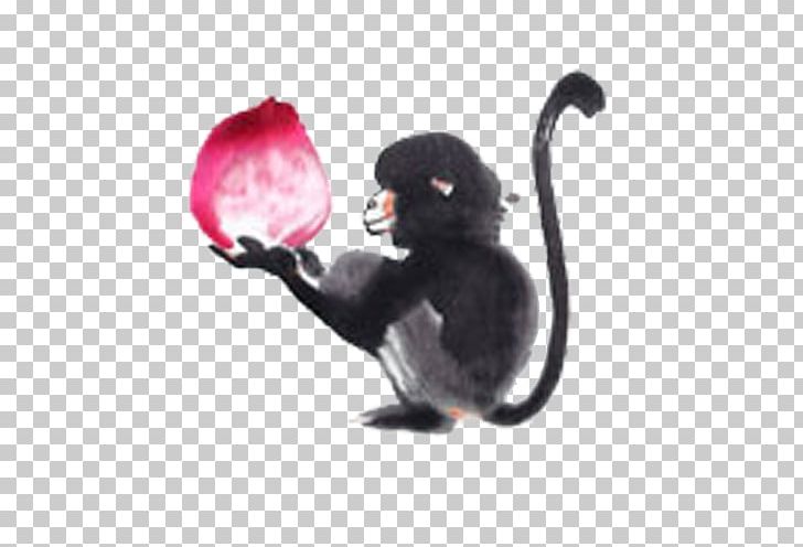 Xiantao Monkey Pouteria Campechiana PNG, Clipart, Animals, Cartoon Monkey, Chinese, Designer, Download Free PNG Download
