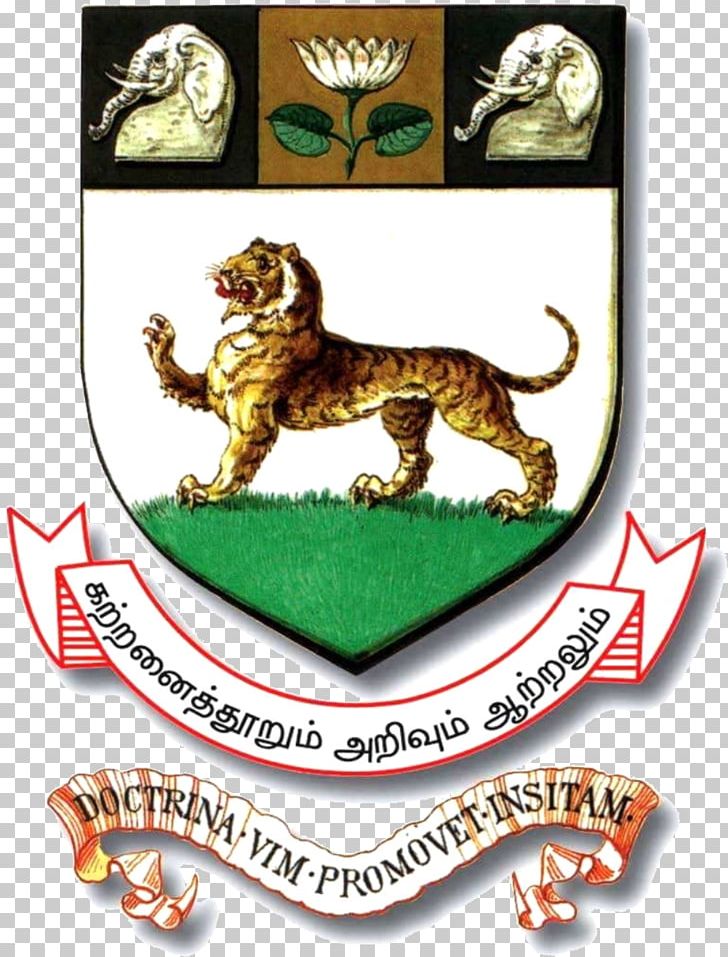 University Of Madras Ramanujan Institute For Advanced Study In Mathematics Education College PNG, Clipart, Academic Degree, Carnivoran, Cat Like Mammal, Course, Fauna Free PNG Download