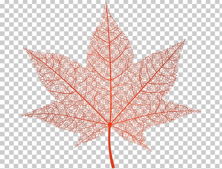 Autumn Leaf Color Maple Leaf PNG, Clipart, Autumn, Autumn Leaf Color, Data Compression, Flac, Green Free PNG Download