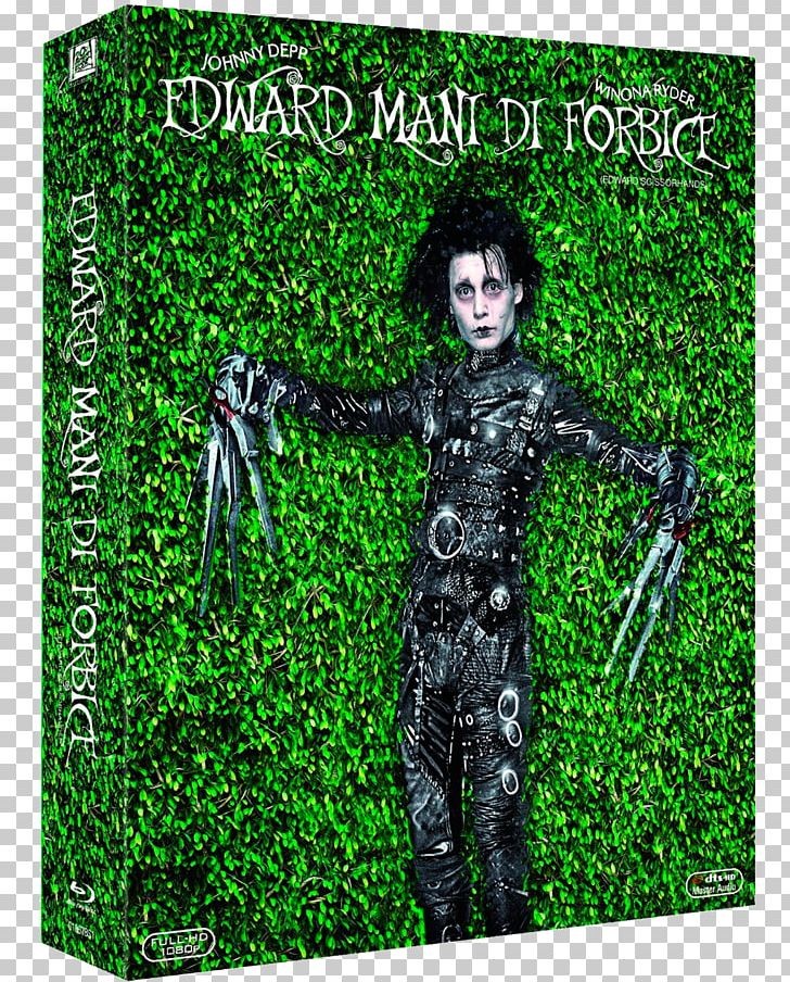 Blu-ray Disc Film Director Remaster 4K Resolution PNG, Clipart, 4k Resolution, Advertising, Album Cover, Bluray Disc, Edward Scissorhands Free PNG Download