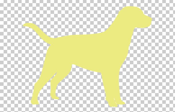 Dog Breed Puppy Labrador Retriever Sporting Group PNG, Clipart, Animal Rescue Group, Art, Breed, Carnivoran, Crossbreed Free PNG Download