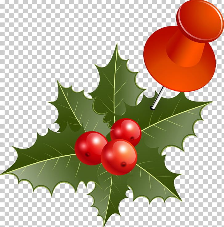Graphics Christmas Day Illustration PNG, Clipart, Aquifoliaceae, Aquifoliales, Berry, Branch, Cherry Free PNG Download