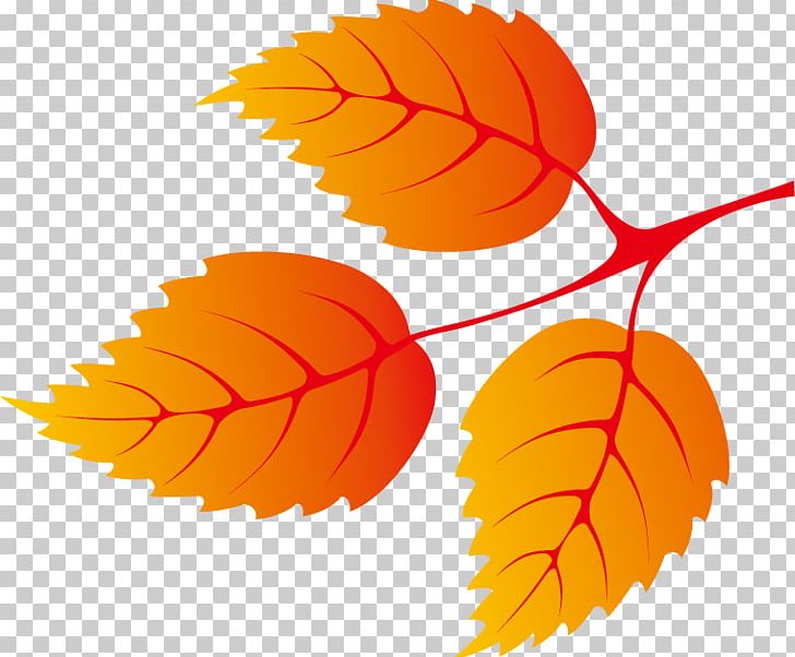 Leaf Autumn Euclidean PNG, Clipart, Akiba, Autumn, Autumn Elements, Autumn Leaf Color, Autumn Vector Free PNG Download