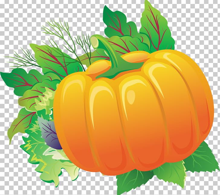 Pumpkin Calabaza Gourd PNG, Clipart, Artworks, Cala, Food, Fruit, Gourd Free PNG Download