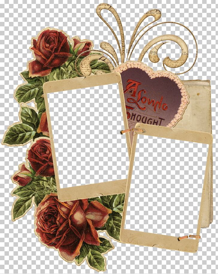 Vintage Frames PNG, Clipart, Display Resolution, Dots Per Inch, Encapsulated Postscript, Floral Design, Floristry Free PNG Download