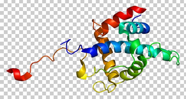 CITED2 Gene LHX2 AP Endonuclease Melanocyte-stimulating Hormone PNG, Clipart, Ap Endonuclease, Artwork, Body Jewelry, Cbp, Dna Free PNG Download