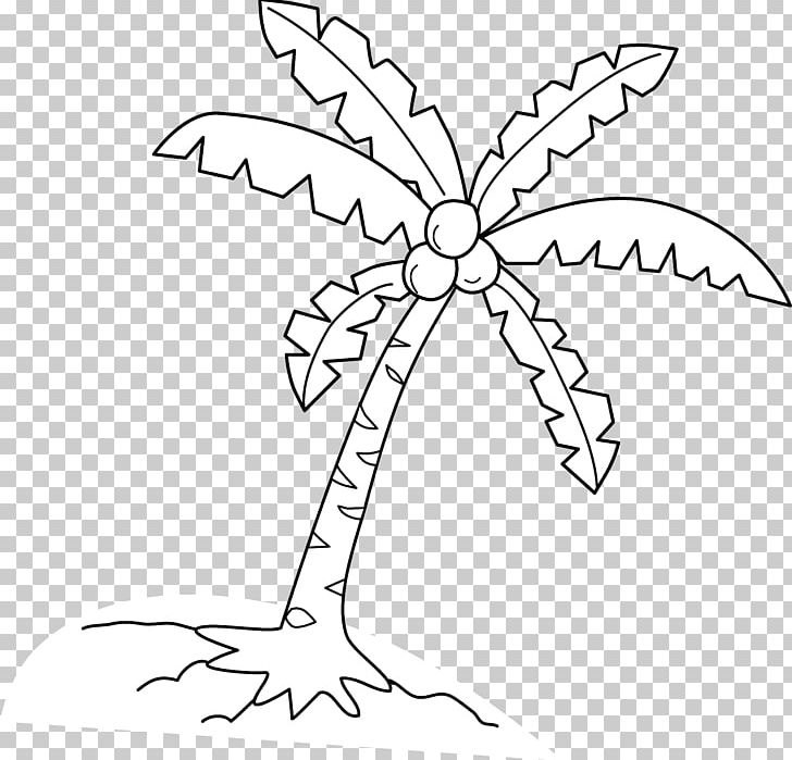 Coconut Arecaceae PNG, Clipart, Area, Arecaceae, Black And White, Branch, Coconut Free PNG Download