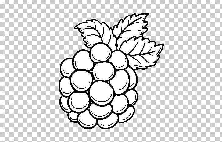Drawing Painting Blackberry ColoringCrew PNG, Clipart, Area, Art, Berry, Black And White, Blackberry Free PNG Download