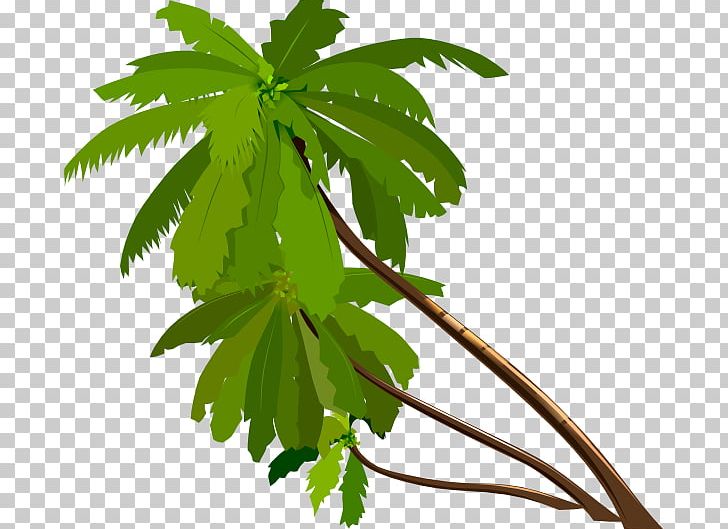 Arecaceae Computer Icons PNG, Clipart, Arecaceae, Blog, Branch, Coconut, Computer Icons Free PNG Download