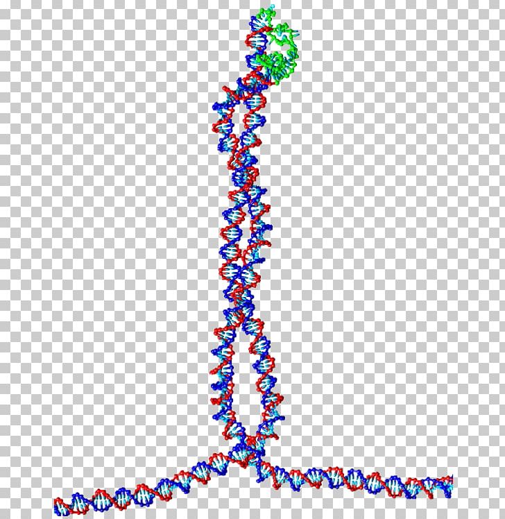 DNA Bead Nucleic Acid Double Helix Drug Delivery Capsule PNG, Clipart, Art, Bead, Body Jewellery, Body Jewelry, Capsule Free PNG Download