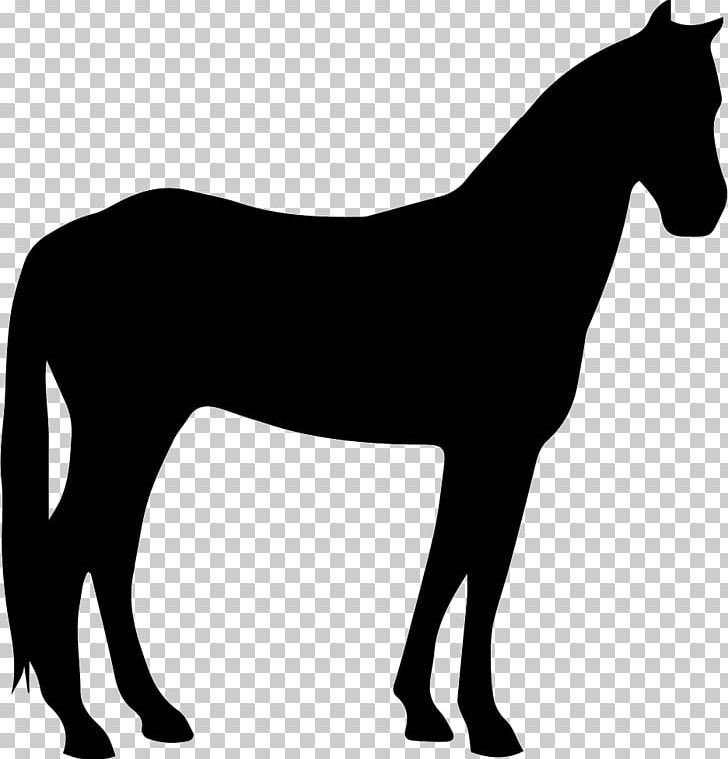 Horse Pony Silhouette Flaxen Gene PNG, Clipart, Animals, Black, Black And White, Bridle, Colt Free PNG Download