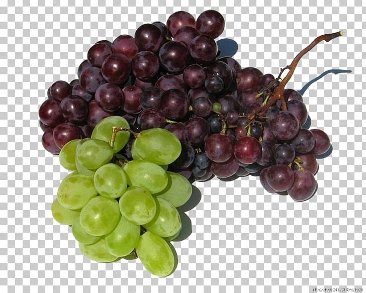 Kyoho Must Table Grape Fruit PNG, Clipart, Apple, Buckle, Common Grape Vine, Food, Fructose Free PNG Download