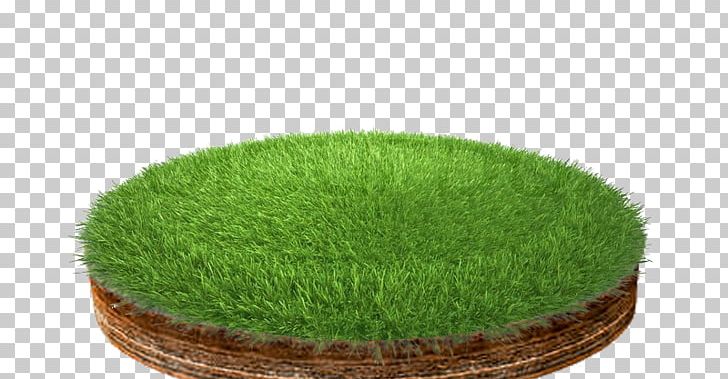 Editing Layers PNG, Clipart, 3d Computer Graphics, Editing, Grass, Grasses, Grass Family Free PNG Download