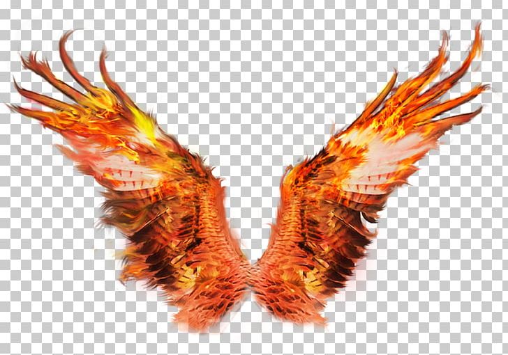 Fire Wings Sacramento Phoenix Drawing Art PNG, Clipart, Art, Art Museum, Beak, Drawing, Fantasy Free PNG Download