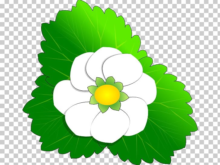 Flower Kxc5ufffdwhai Free Content PNG, Clipart, Blossoms Cliparts, Branch, Circle, Download, Drawing Free PNG Download