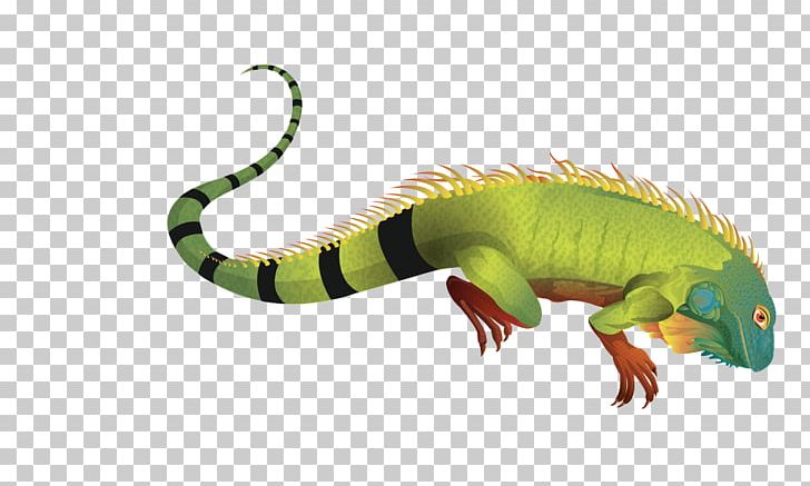 Green Iguana Lizard PNG, Clipart, Animals, Common Iguanas, Computer Icons, Dinosaur, Download Free PNG Download