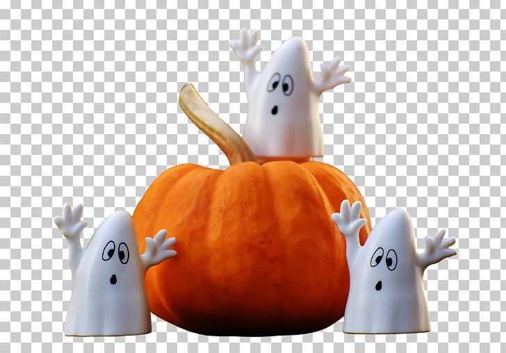 Halloween 31 October Jack-o'-lantern 0 Ghost PNG, Clipart, 31 October, 2017, 2018, All Saints Day, Calabaza Free PNG Download