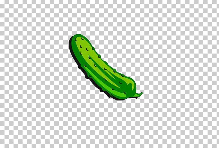 Pickled Cucumber Free Content PNG, Clipart, Christ, Cucumber, Cucumber Cartoon, Cucumber Juice, Cucumbers Free PNG Download