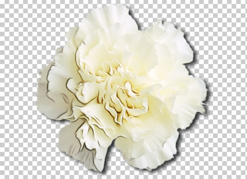 Artificial Flower PNG, Clipart, Artificial Flower, Beige, Carnation, Chinese Peony, Common Peony Free PNG Download