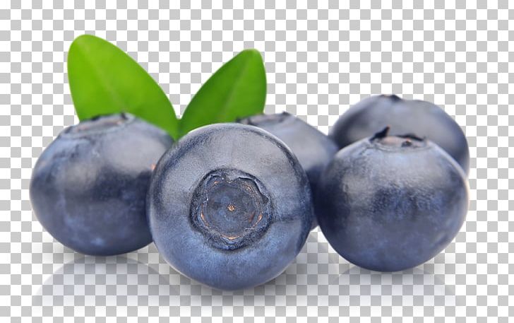European Blueberry Fruit PNG, Clipart, Berries, Berry, Bilberry, Blueberry, Computer Software Free PNG Download