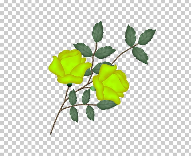 Garden Roses Flower PNG, Clipart, Art, Blog, Branch, Cicek, Cicek Resimleri Free PNG Download
