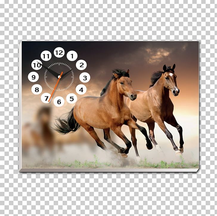 Horse Stallion Desktop PNG, Clipart, Art, Canvas, Colt, Desktop Wallpaper, Fauna Free PNG Download