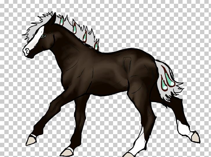 Mane Foal Stallion Pony Mustang PNG, Clipart, Bit, Colt, English Riding, Equestrian Sport, Foal Free PNG Download