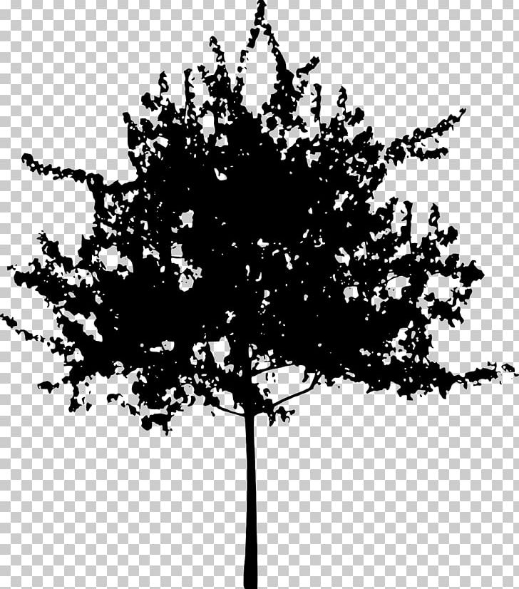 Tree Branch Trunk PNG, Clipart, Black And White, Branch, Flower, Flowering Plant, Leaf Free PNG Download