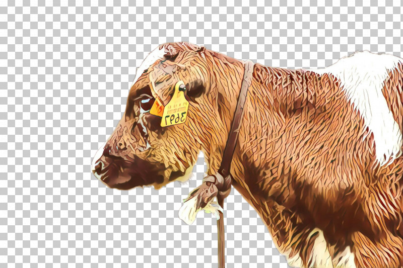 Bovine Snout Horn Bull Livestock PNG, Clipart, Bovine, Bull, Cowgoat Family, Dairy Cow, Horn Free PNG Download