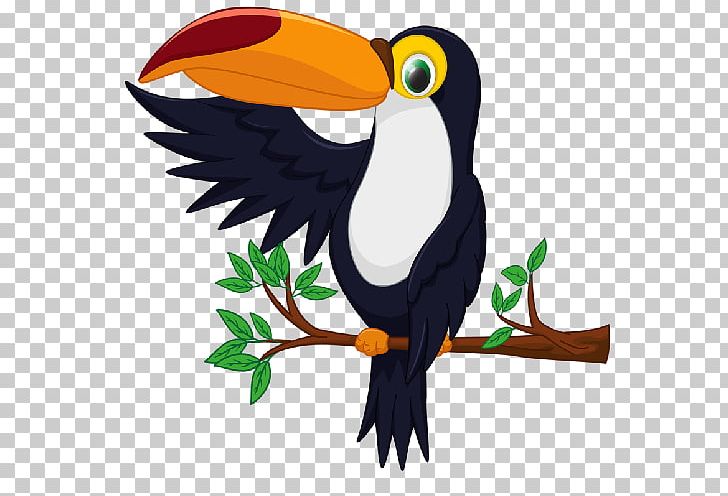Bird Toucan Drawing PNG, Clipart, Animals, Beak, Bird, Coraciiformes, Drawing Free PNG Download