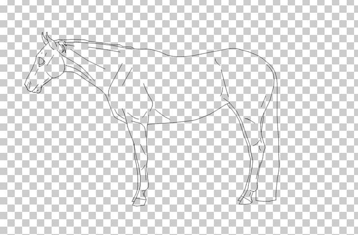 Foal Bridle Mustang Mane Stallion PNG, Clipart, Arm, Artwork, Black And White, Bridle, Colt Free PNG Download