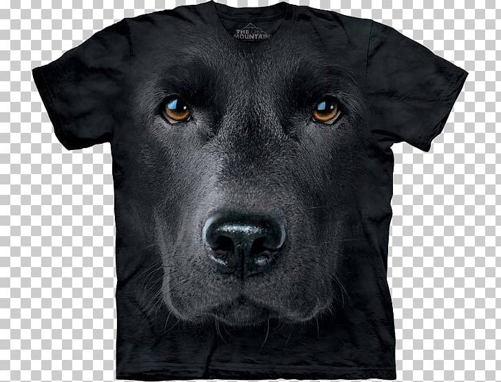 Long-sleeved T-shirt Labrador Retriever Clothing PNG, Clipart, Animal, Bluza, Carnivoran, Clothing, Crew Neck Free PNG Download