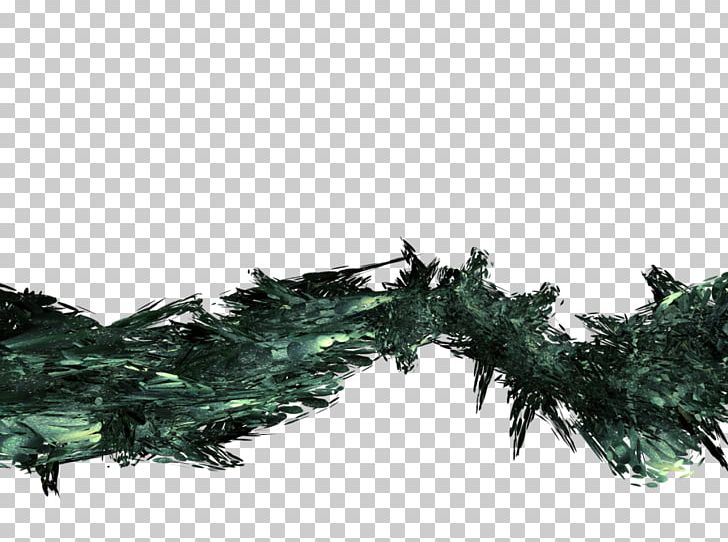 Twig Leaf Evergreen PNG, Clipart, Branch, C4d, Conifer, Evergreen, Fir Free PNG Download