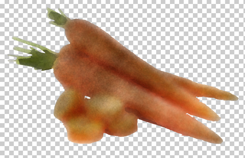 Carrot Asparagus Hand Finger Vegetable PNG, Clipart, Asparagus, Baby Carrot, Carrot, Dish, Finger Free PNG Download