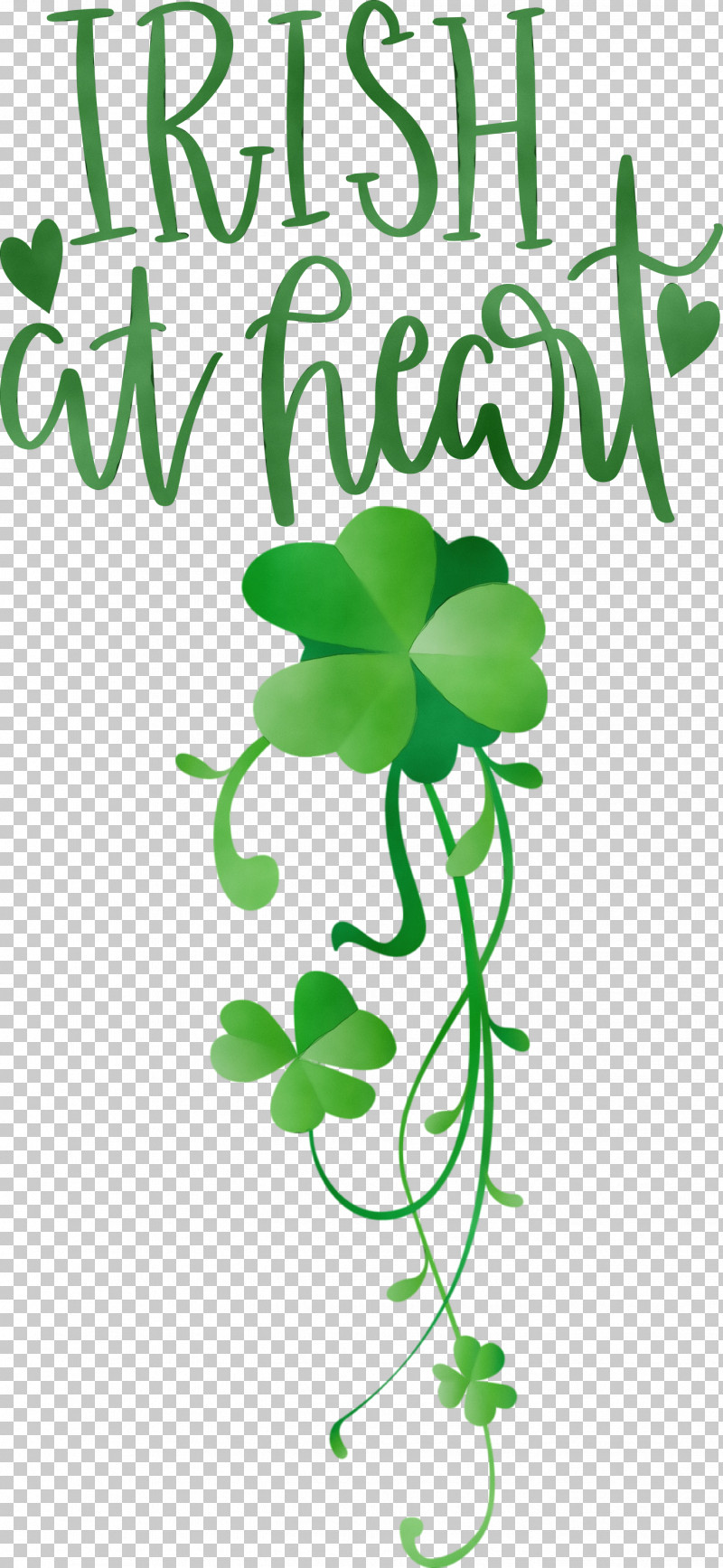 Floral Design PNG, Clipart, Clover, Floral Design, Green, Irish, Leaf Free PNG Download