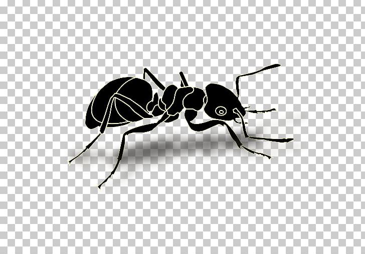 Black Garden Ant Insect PNG, Clipart, Animals, Ant, Ant Clipart, Arthropod, Beetle Free PNG Download