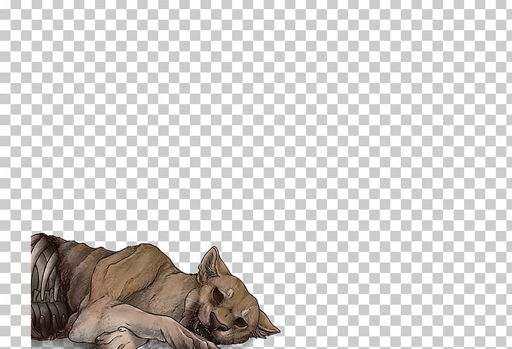 Cat Lion Dog Canidae Fur PNG, Clipart, Animals, Big Cat, Big Cats, Canidae, Carnivoran Free PNG Download
