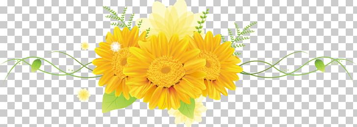 Cut Flowers Petal Desktop PNG, Clipart, Calendula, Chrysanthemum, Chrysanths, Computer Wallpaper, Cut Flowers Free PNG Download