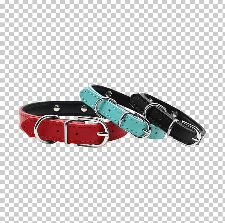 Dog Collar Puppy Cat PNG, Clipart, Animals, Belt, Belt Buckle, Buckle, Cat Free PNG Download