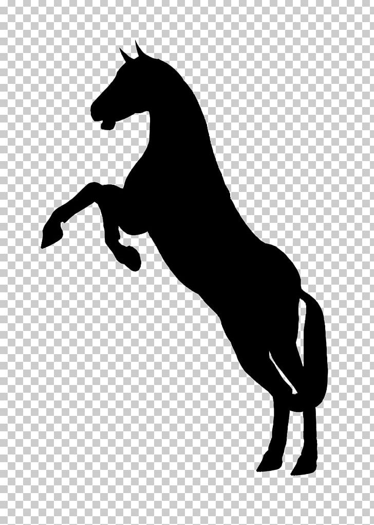 Horse Stallion Rearing Equestrian PNG, Clipart, Animals, Black And White, Collection, Colt, Equestrian Sport Free PNG Download