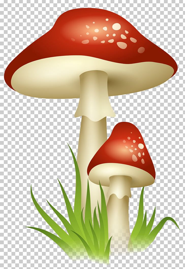 Mushroom Cloud PNG, Clipart, Animals, Autumn, Common Mushroom, Digital Image, Fungus Free PNG Download