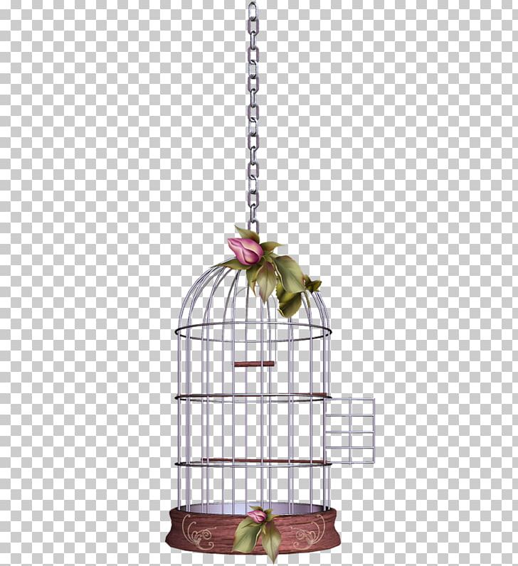 Birdcage Portable Network Graphics Adobe Photoshop PNG, Clipart, Animals, Bird, Birdcage, Cage, Computer Icons Free PNG Download