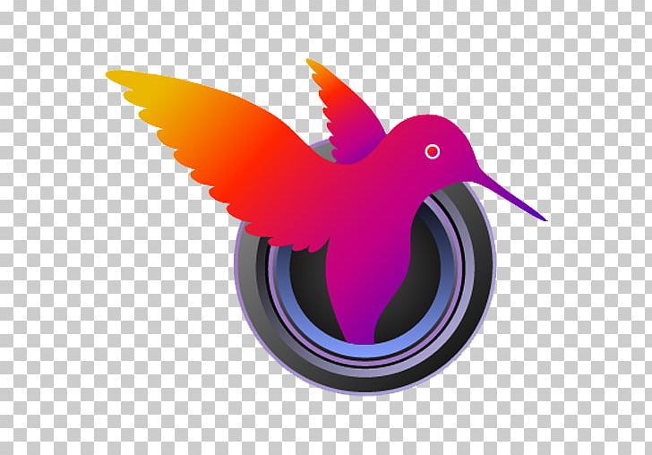 Hummingbird M Beak Font PNG, Clipart, Beak, Bird, Hummingbird, Hummingbird M, Others Free PNG Download