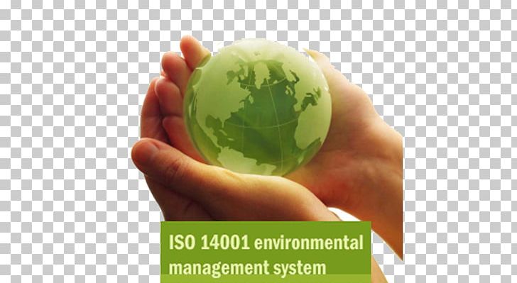 Natural Environment Corporate Social Responsibility INGRAIN STANDARD ASSESSMENT LLP Organization PNG, Clipart,  Free PNG Download