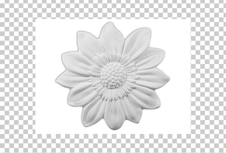 Transvaal Daisy Cut Flowers White New Hampshire PNG, Clipart, Black And White, Cut Flowers, Daisy Family, Flower, Flower Garden Free PNG Download
