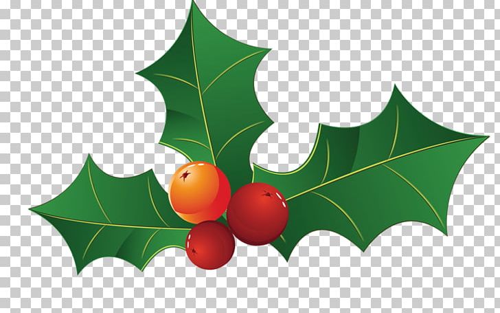 Holly Aquifoliales Greeting & Note Cards Creative Work PNG, Clipart, 2018 Nissan Leaf, Aquifoliaceae, Aquifoliales, Branch, Christmas Free PNG Download