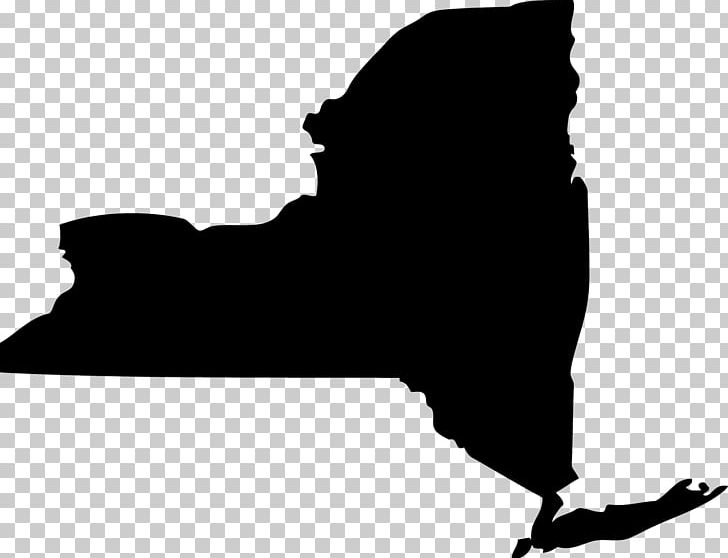 New York City U.S. State Organization Service Of Process New York State Senate PNG, Clipart, Angle, Black, Black And White, City U.s., Hand Free PNG Download